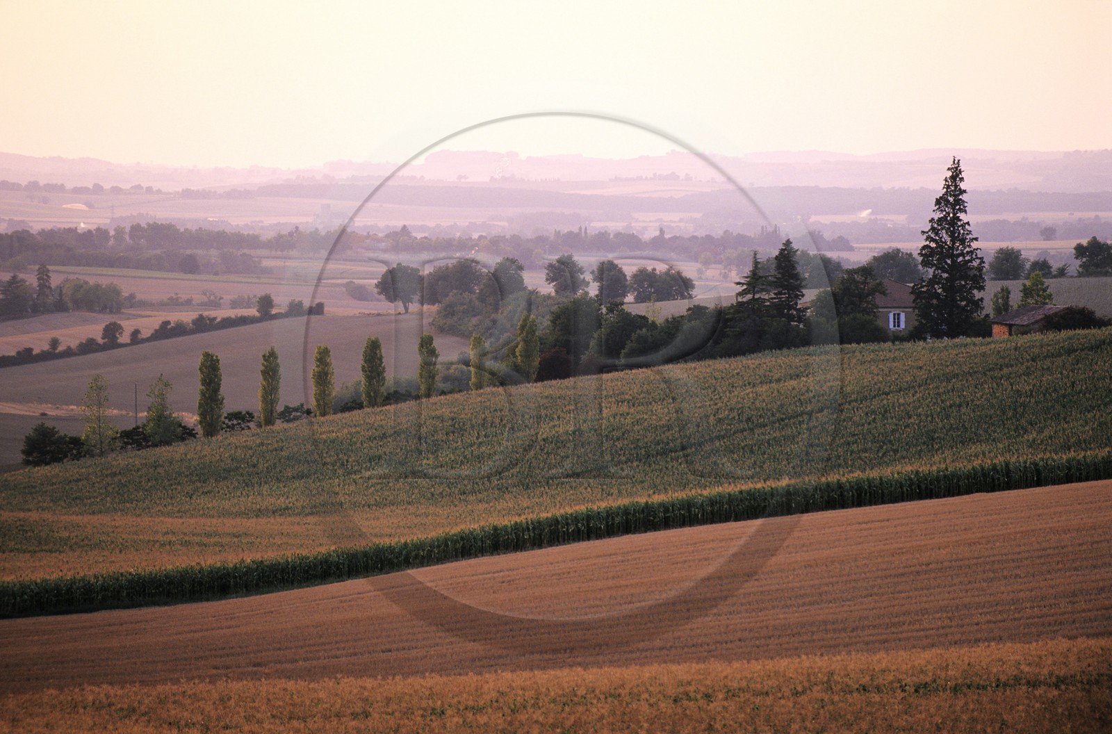 France, Gers (32), paysage typique du Gers non loin de Fleurance