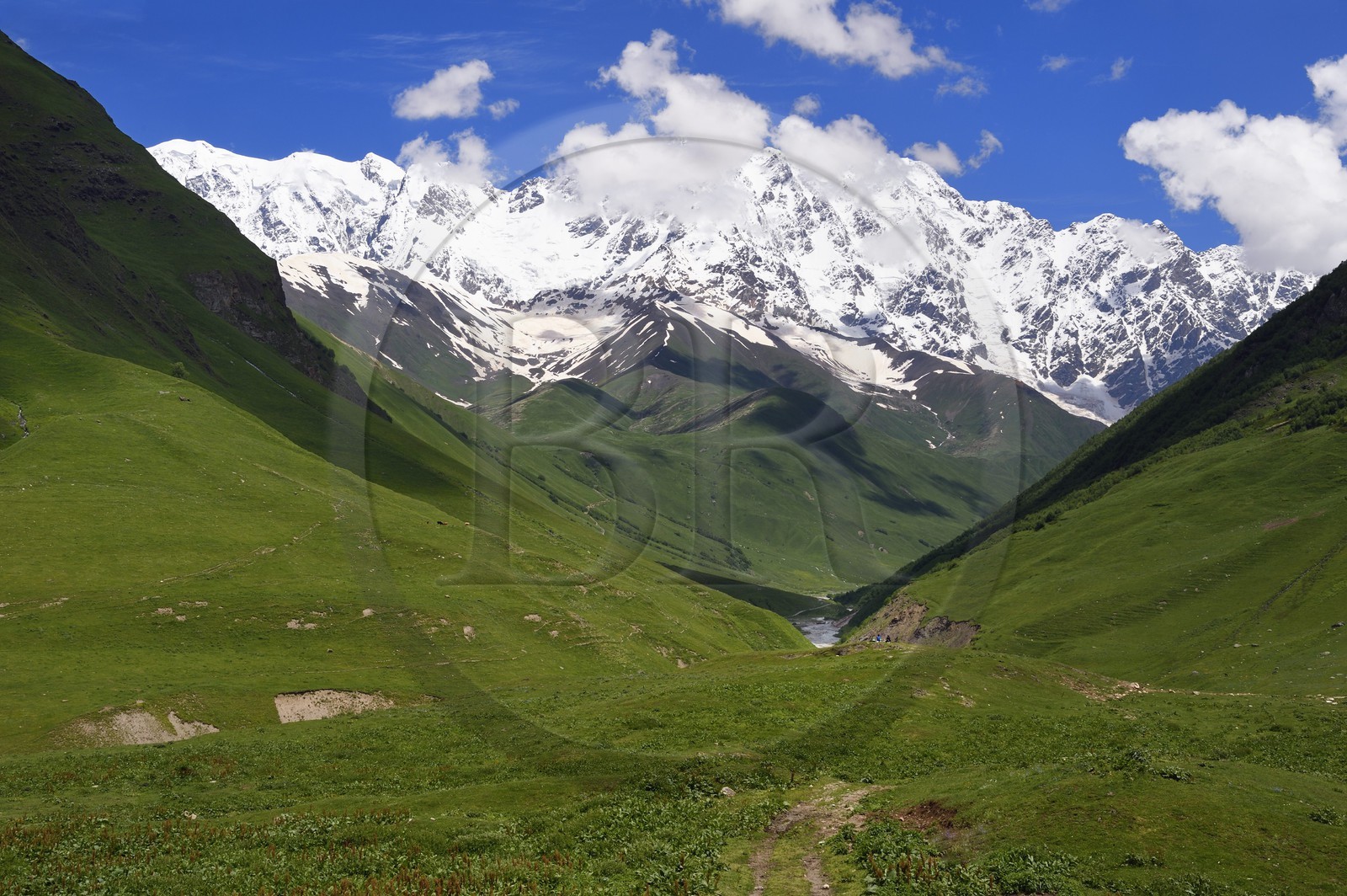 Géorgie, Haute Svanétie (Zemo Svaneti), village de Ushguli (Ouchgouli), classé Patrimoine Mondial de l'UNESCO, le mont Chkhara (plus haut sommet de Georgie avec 5 193 m)