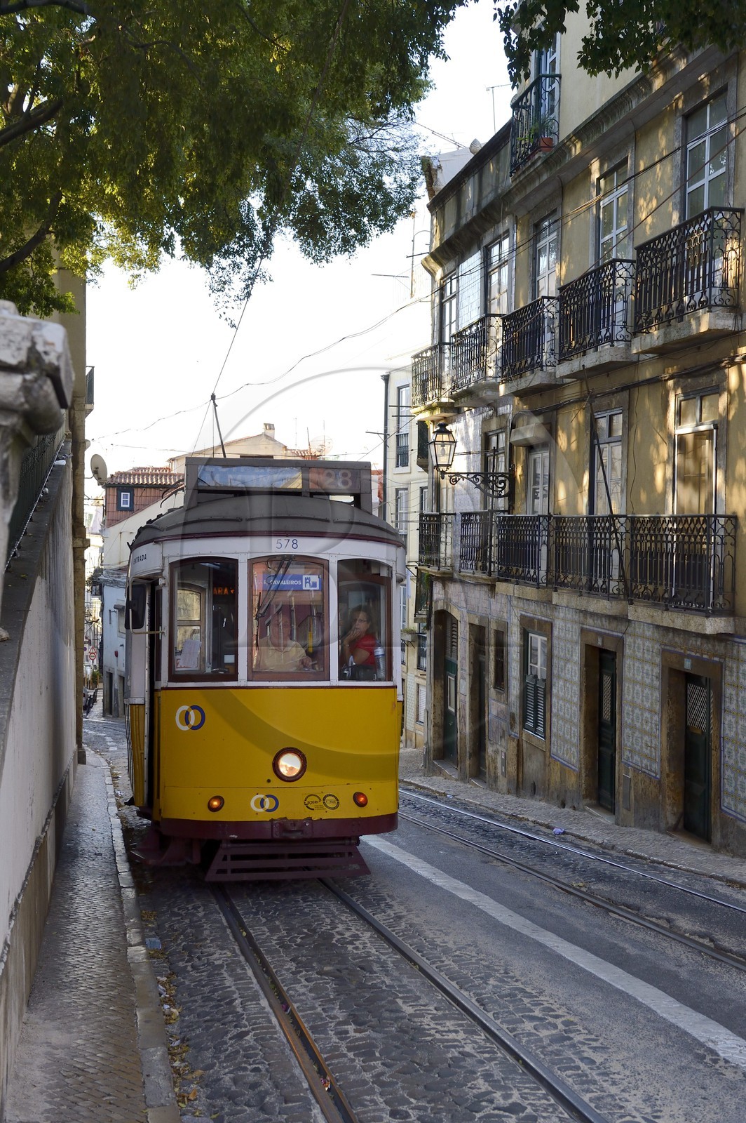 Portugal, Lisbonne, quartier de l'Alfama, tramway (electricos) dans la rue Voz do Operario