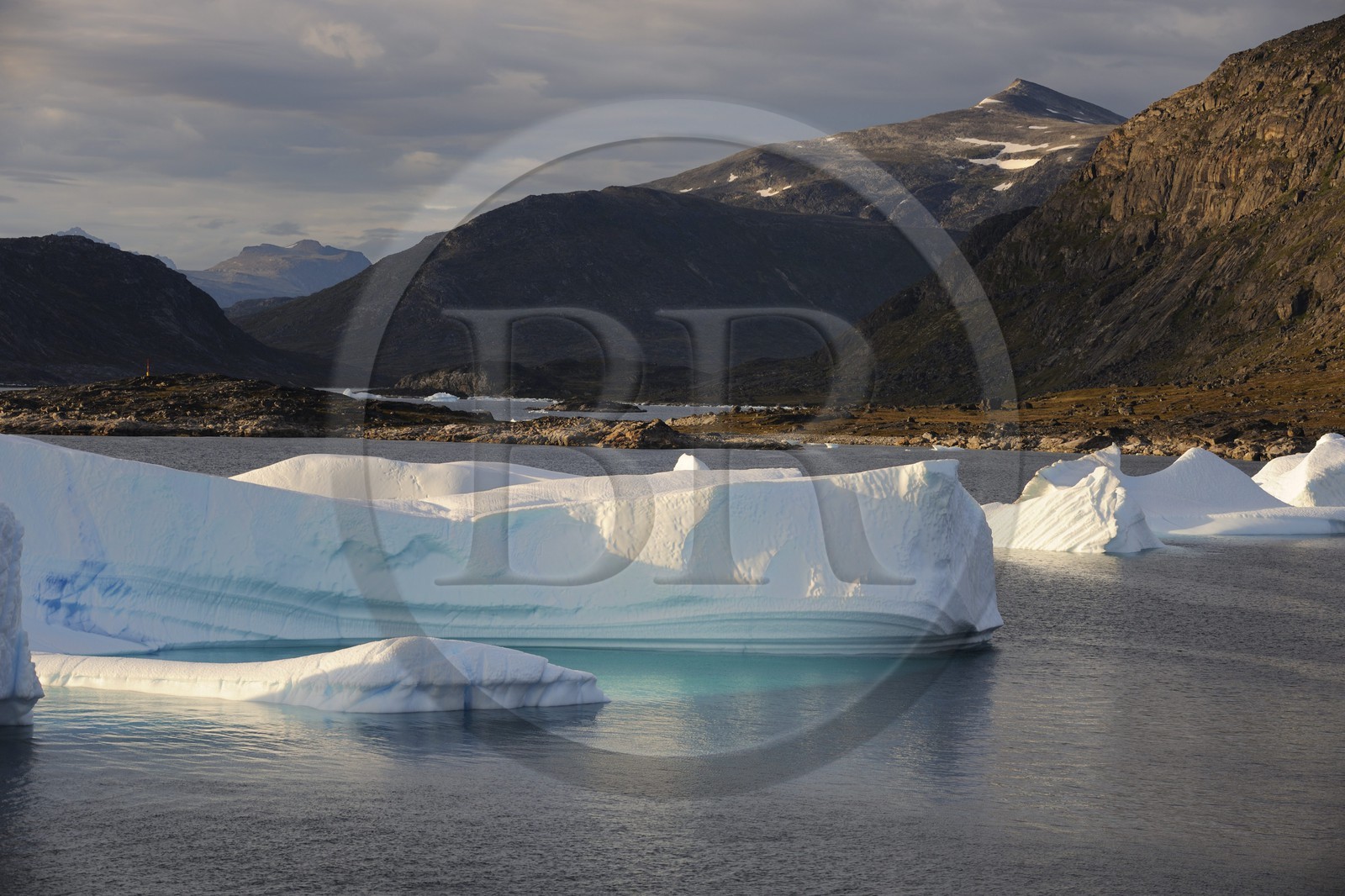 Groenland, fjord de Nanortalik au sud du pays, icebergs