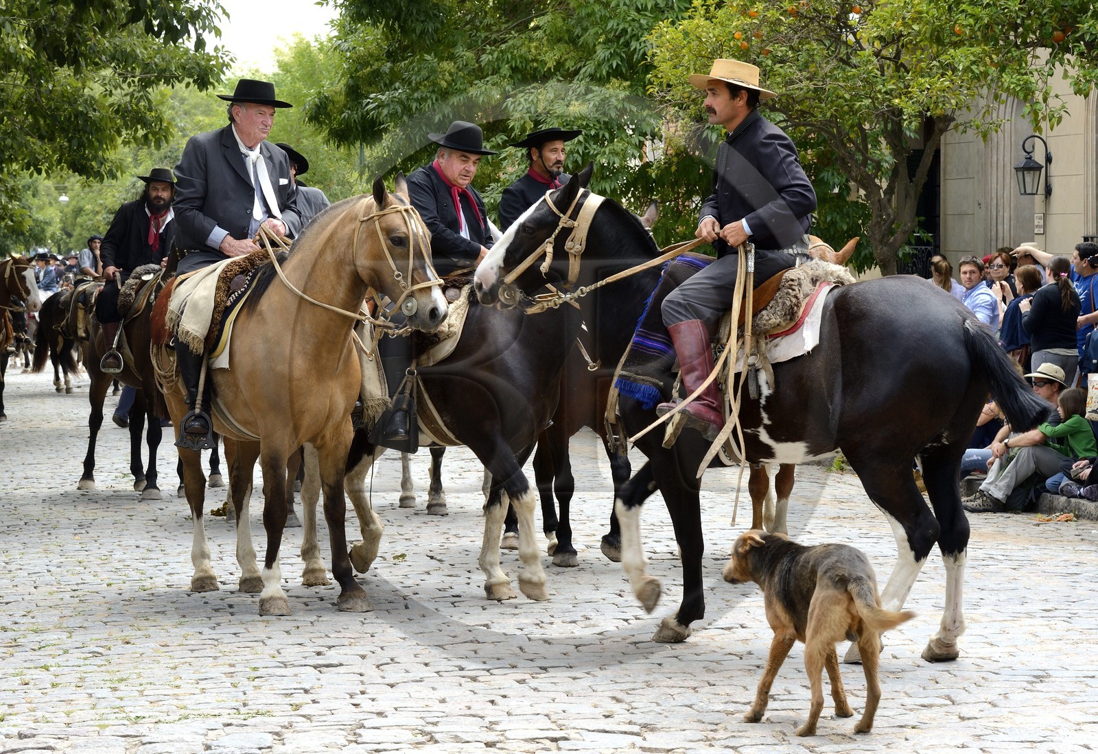 Argentine, province de Buenos Aires, San Antonio de Areco, fête du Jour de la Tradition (Dia de la Tradicion), gauchos à cheval défilant en habit traditionnel