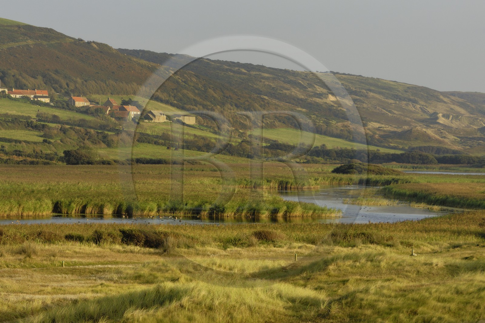 France, Manche (50), Cap de la Hague, dunes de l'anse de Vauville, la mare de Vauville