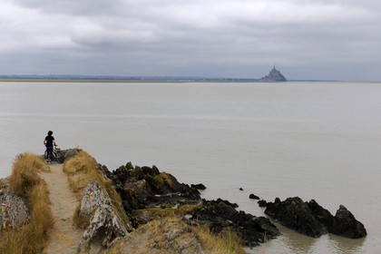 France, Manche (50), la Baie du Mont-Saint-Michel et le Mont depuis le Groin du Sud