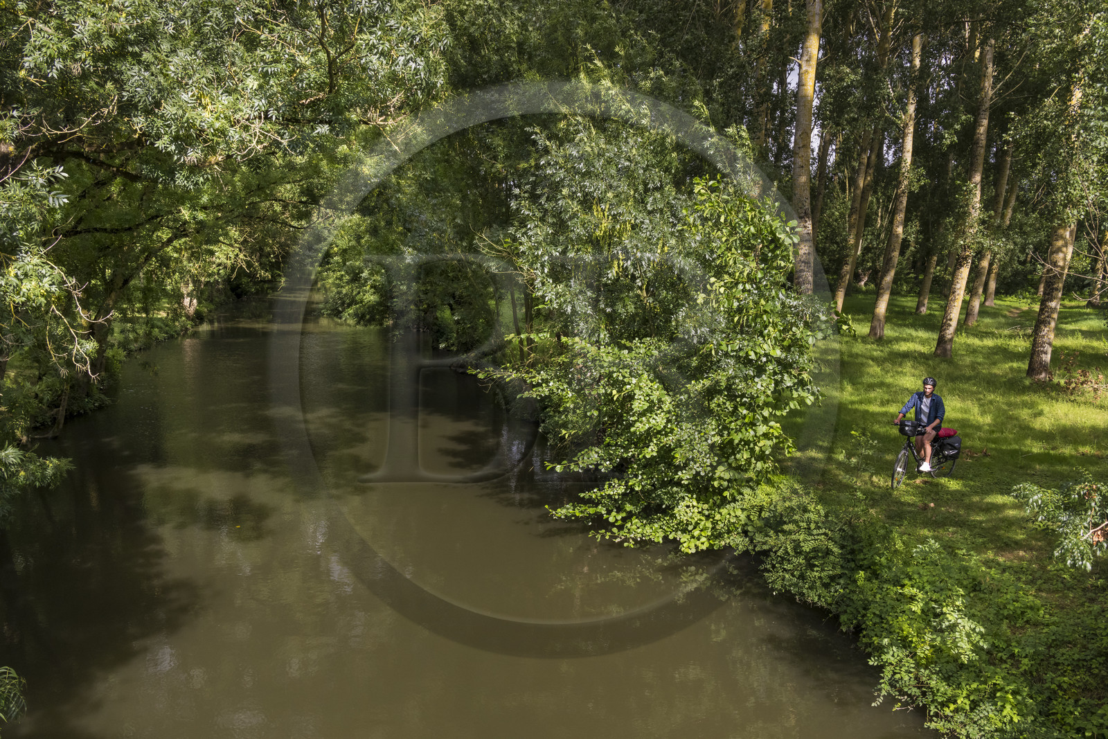 France, Deux-Sèvres (79), le Marais Poitevin, la Venise Verte, Le Vanneau-Irleau, randonnée à bicyclette le long des canaux