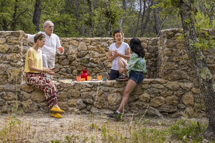 France, Var, Provence Verte (Green Provence), Bras, Academie du Bain de Foret Provencale (Academy of Forest Bathing in Provence), forest of the domaine Le Peyrourier - une campagne en Provence, Constanze Coisne guides Shinrin Yoku