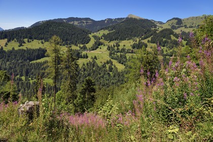 Suisse, canton de Vaud, Gryon, vue sur le Col de Soud au dessus de Villars-sur-Ollon