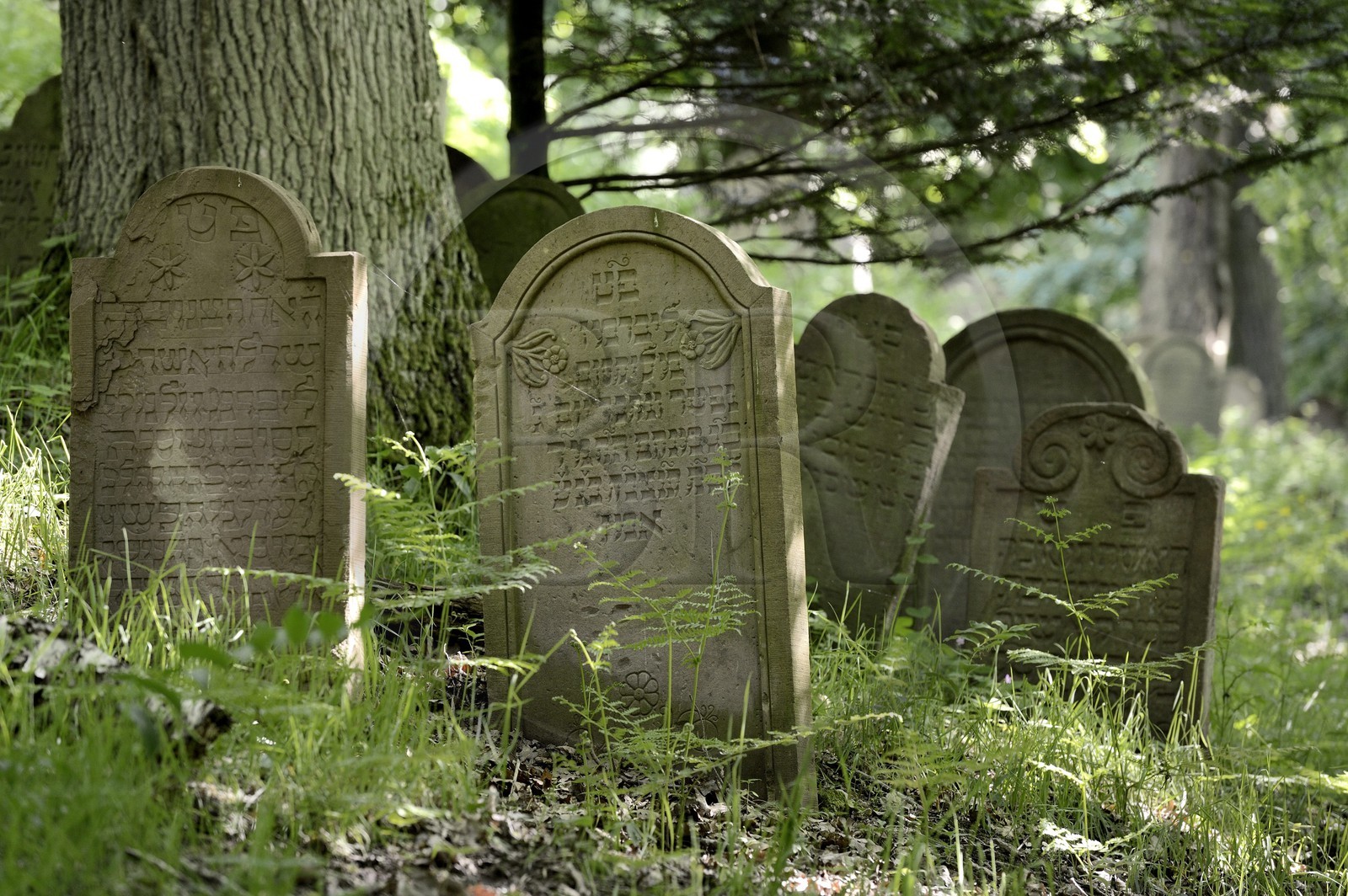 France, Bas-Rhin (67), Saverne, ancien cimetière juif