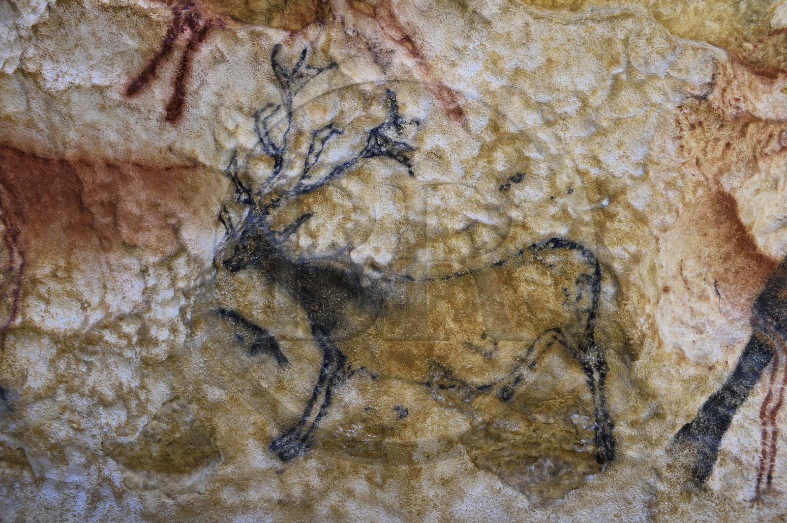 France, Dordogne (24), Montignac, l’Atelier des Fac-Similés du Périgord (AFSP) spécialisé dans la reproduction minérale de parois ornées de la préhistoire et en charge de la reconstitution fidèle des parois de la grotte de Lascaux, cerfs, mention obligatoire Atelier des Fac-Similés du Périgord