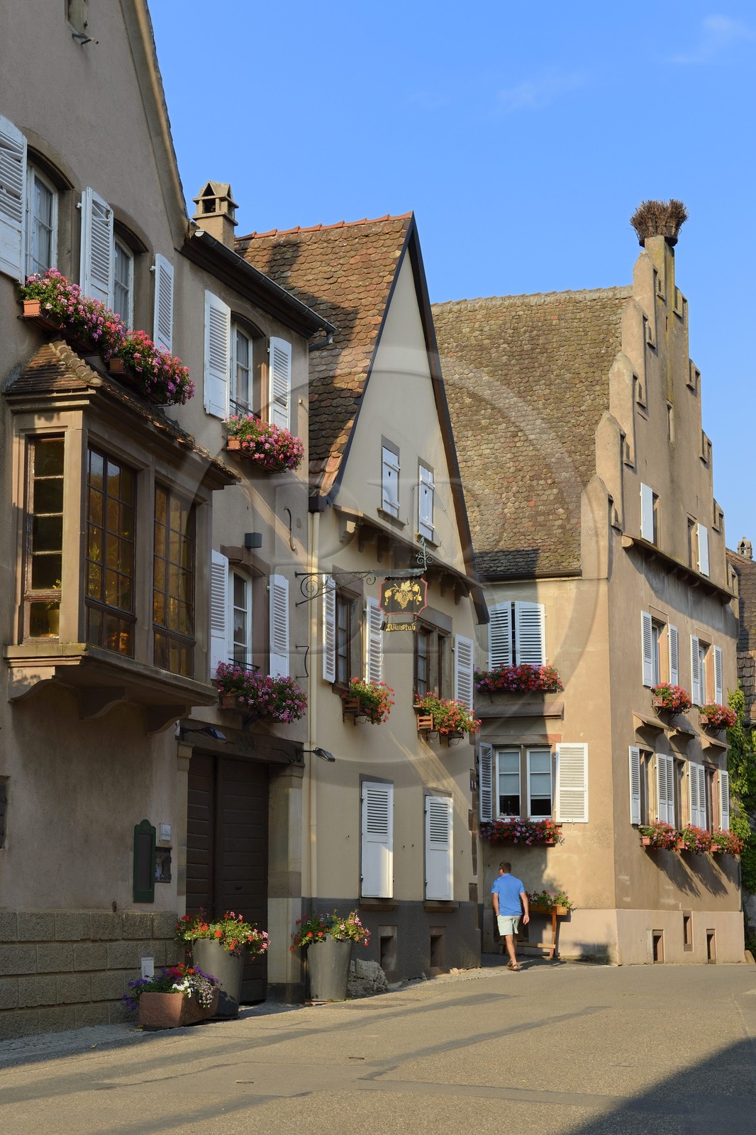 France, Bas Rhin, the Alsace Wine Route, Mittelbergheim, labelled Les Plus Beaux Villages de France (The Most Beautiful Villages of France), gabled house