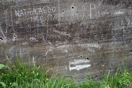 France, Alpes-Maritimes (06), parc national du Mercantour, Vallée des Merveilles parsemée de milliers de gravures rupestres de l'Age de bronze, la Paroi vitrifiée, gravures linéaires préhistoriques et historiques recouvertes de graffitis