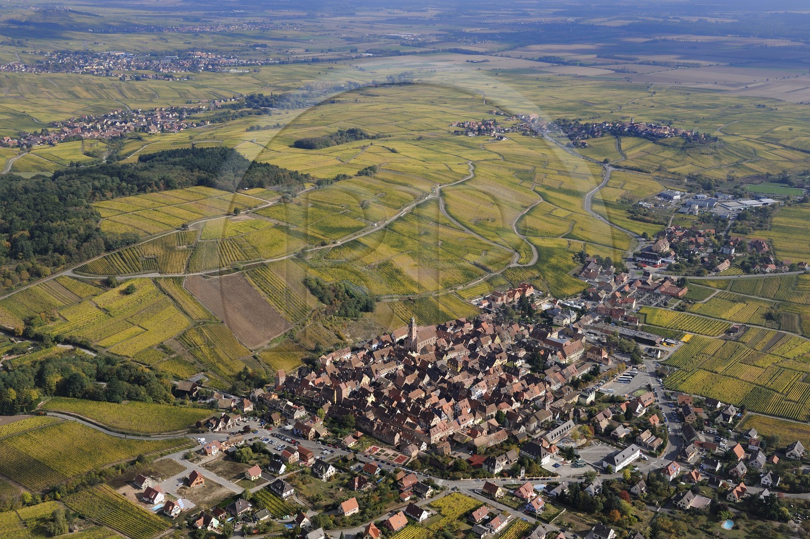 France, Haut Rhin, Riquewihr and its vineyard (aerial view)