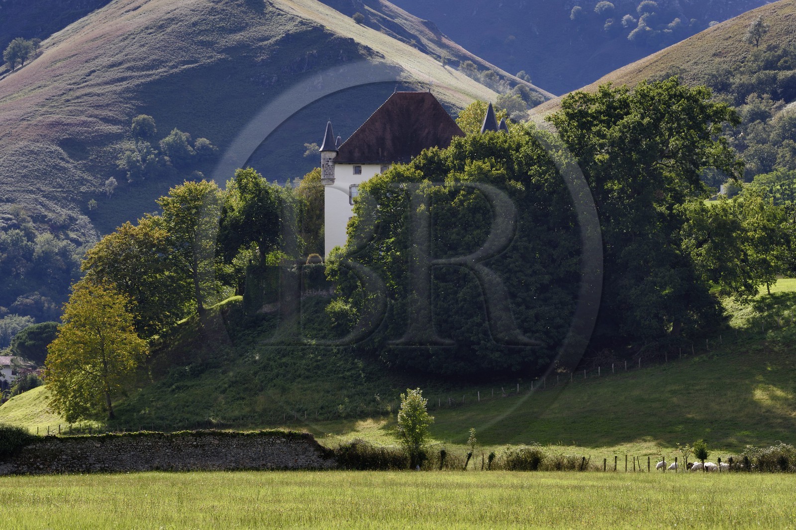 France, Pyrénées-Atlantiques (64), Pays-Basque, Saint-Etienne-de-Baïgorry, le chateau d'Etxauz