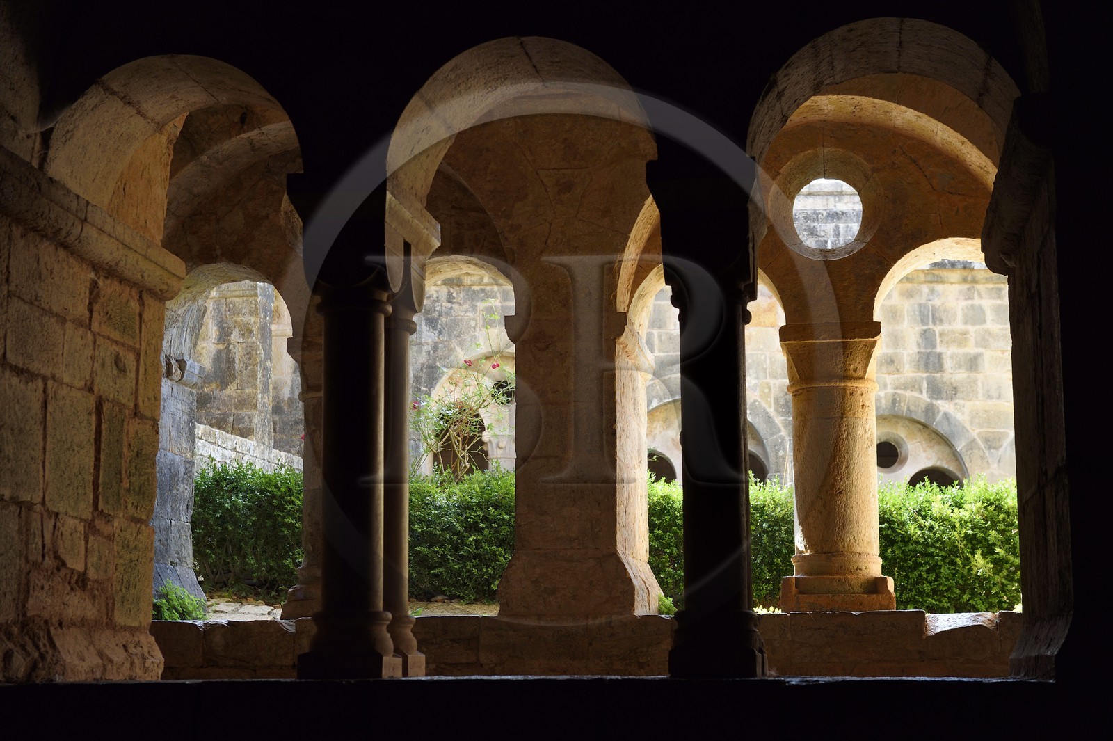 France, Var (83), Abbaye cistercienne du Thoronet, la salle capitulaire du cloitre