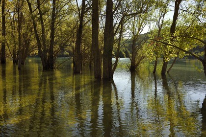 Var (83) rive gauche et Alpes-de-Haute-Provence (04) rive droite, Parc Naturel Régional du Verdon, Basses Gorges du Verdon en aval du lac de Sainte Croix