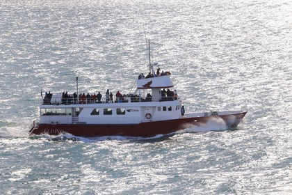 Islande, Reykvavik, bateau d'observation des baleines pour les touristes