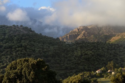 France, Corse-du-Sud (2A), région de Sartène, village de Fozzano