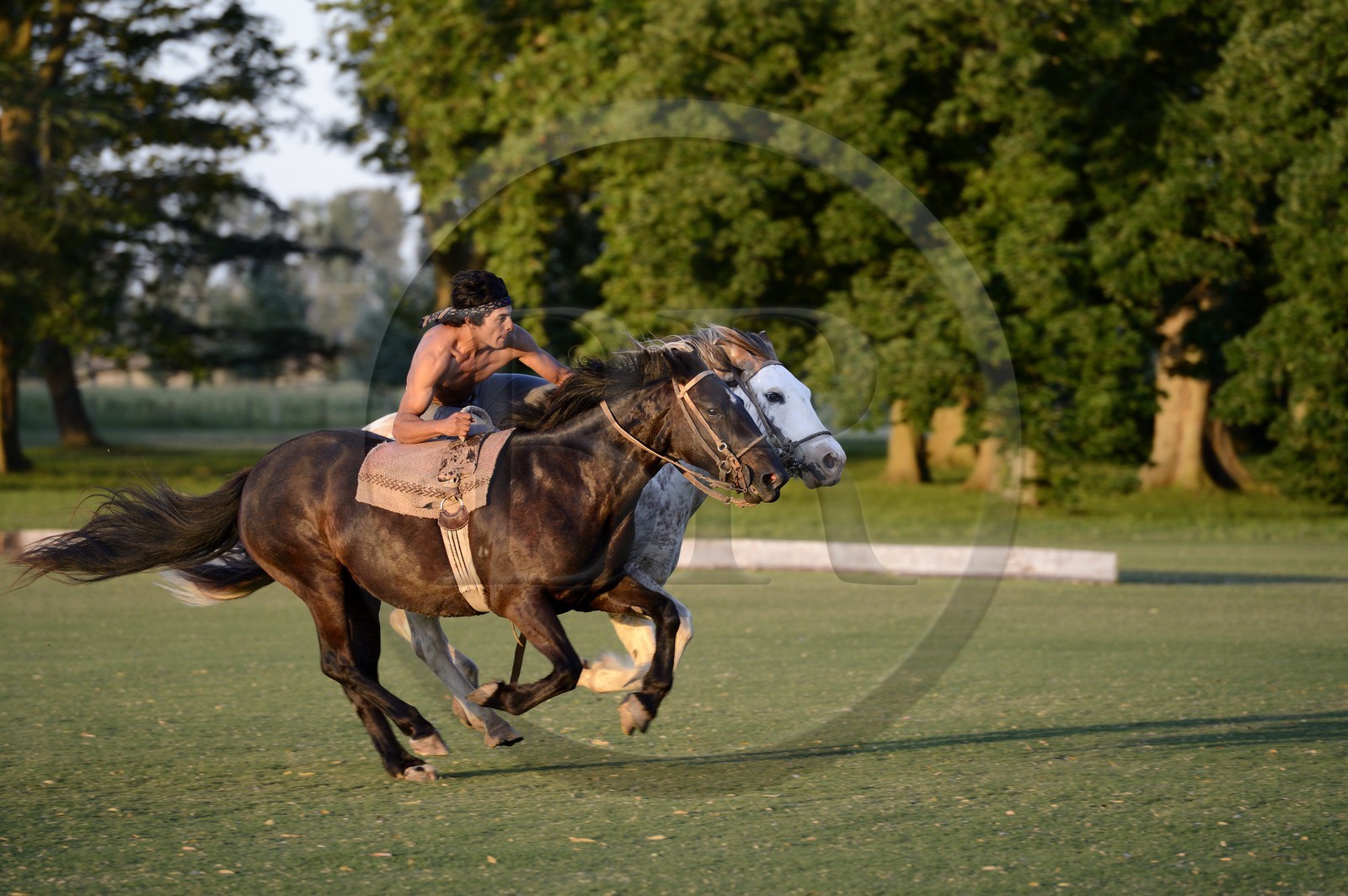 Argentine, province de Buenos Aires, San Antonio de Areco, estancia La Bamba de Areco, demonstration du savoir-faire d'un cavalier amerindien avec son cheval