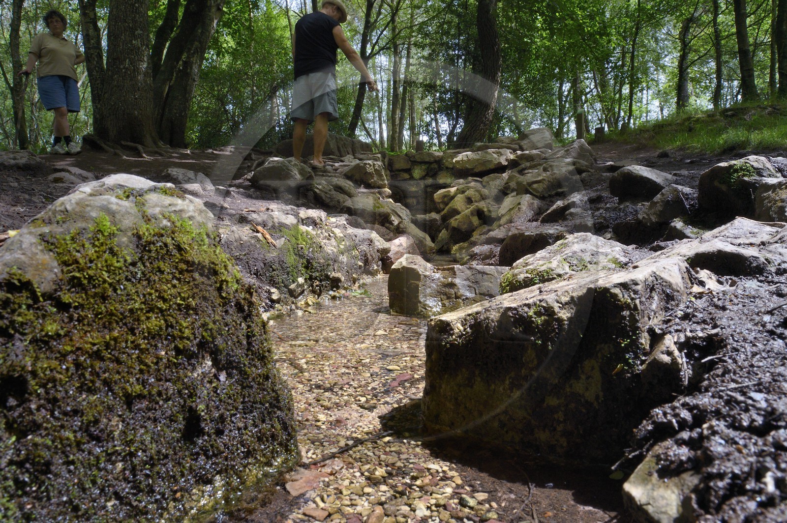 France, Ille-et-Vilaine, forest of Broceliande, Barenton fountain