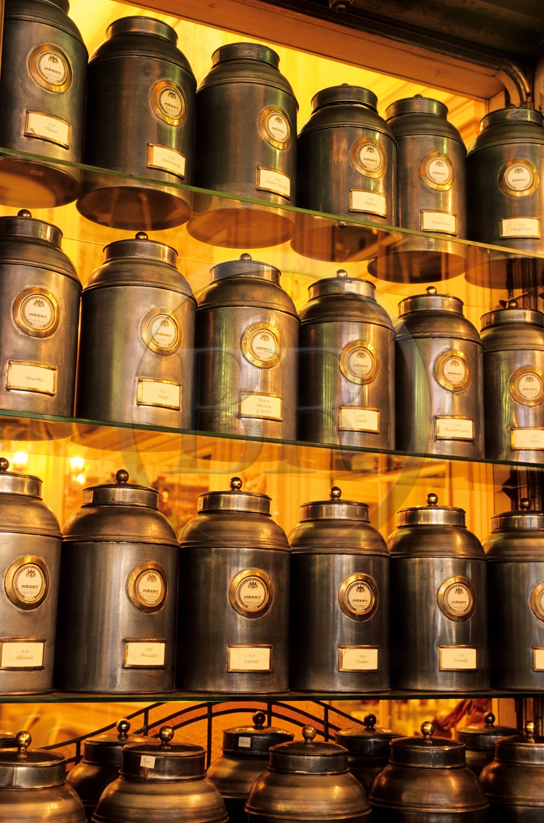 France, Nord (59), Lille, le célèbre confiseur Méert, rue Esquermoise dans la vieille ville