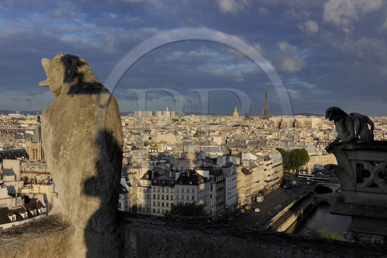 France, Paris (75), les rives de la Seine classées Patrimoine Mondial de l'UNESCO, île de la Cité, la cathédrale Notre-Dame, les chimères de la Tour Sud observent la ville