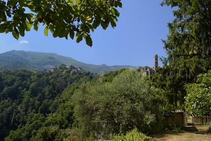 France, Haute-Corse (2B), Castagniccia, village de Carcheto et l’église Sainte Marguerite