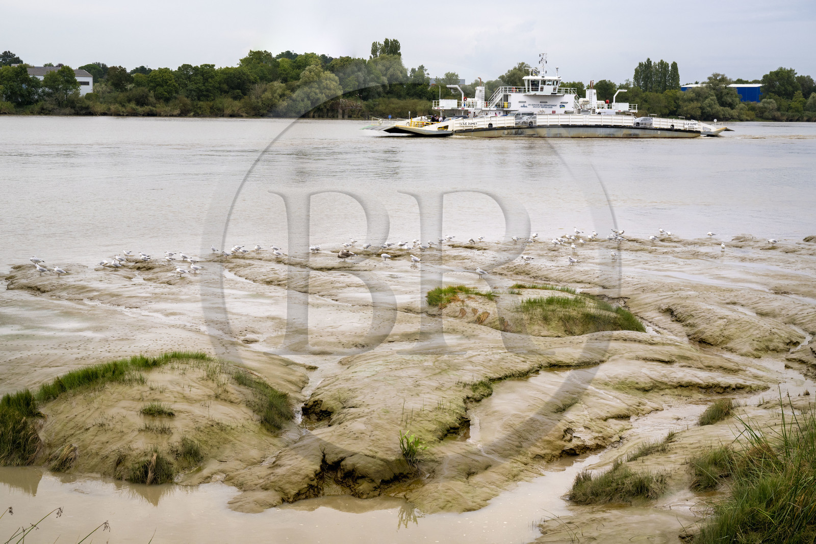 France, Loire-Atlantique (44), Le Pellerin, bac permettant la traversée de la Loire entre Le Pellerin et Couëron