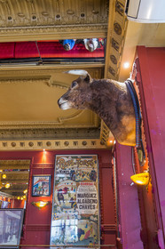 France, Gard (30), Nîmes, Grand Café de la Bourse, tête de taureau et affiche