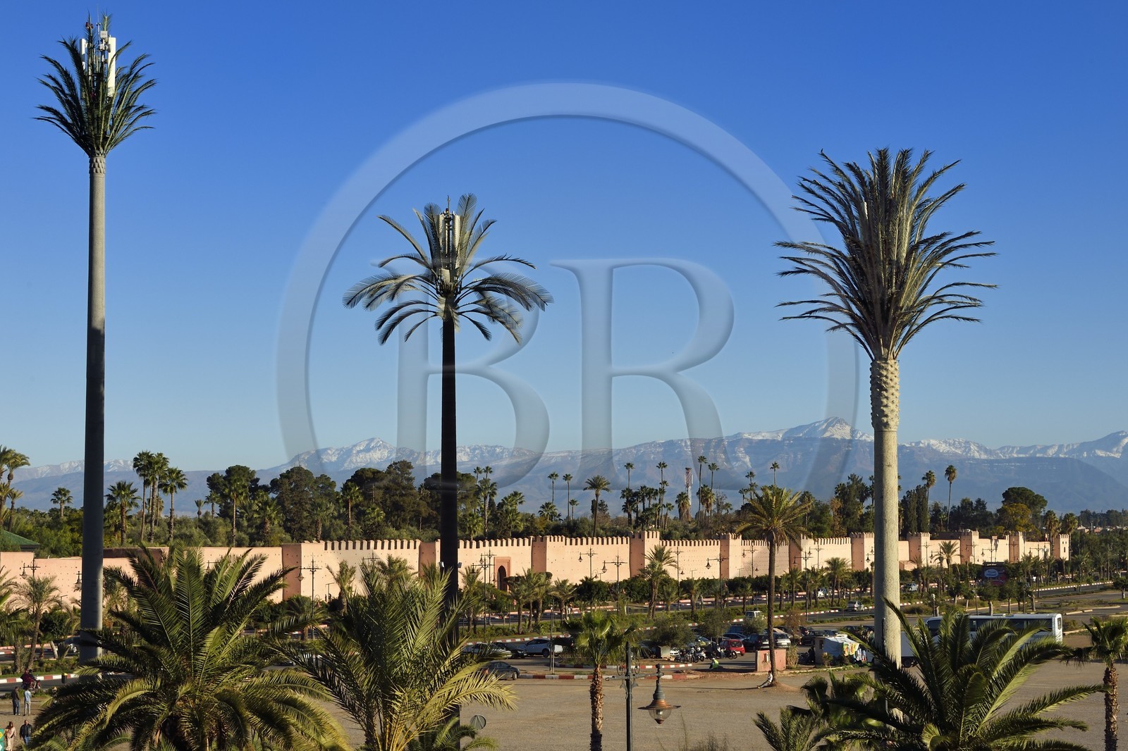 Maroc, Haut-Atlas, Marrakech, ville impériale, Médina classée Patrimoine Mondial de l'UNESCO, les remparts de la ville et l'Atlas enneigé en arrière plan, trois antennes relais de téléphonie mobile dissimulées dans des faux palmiers