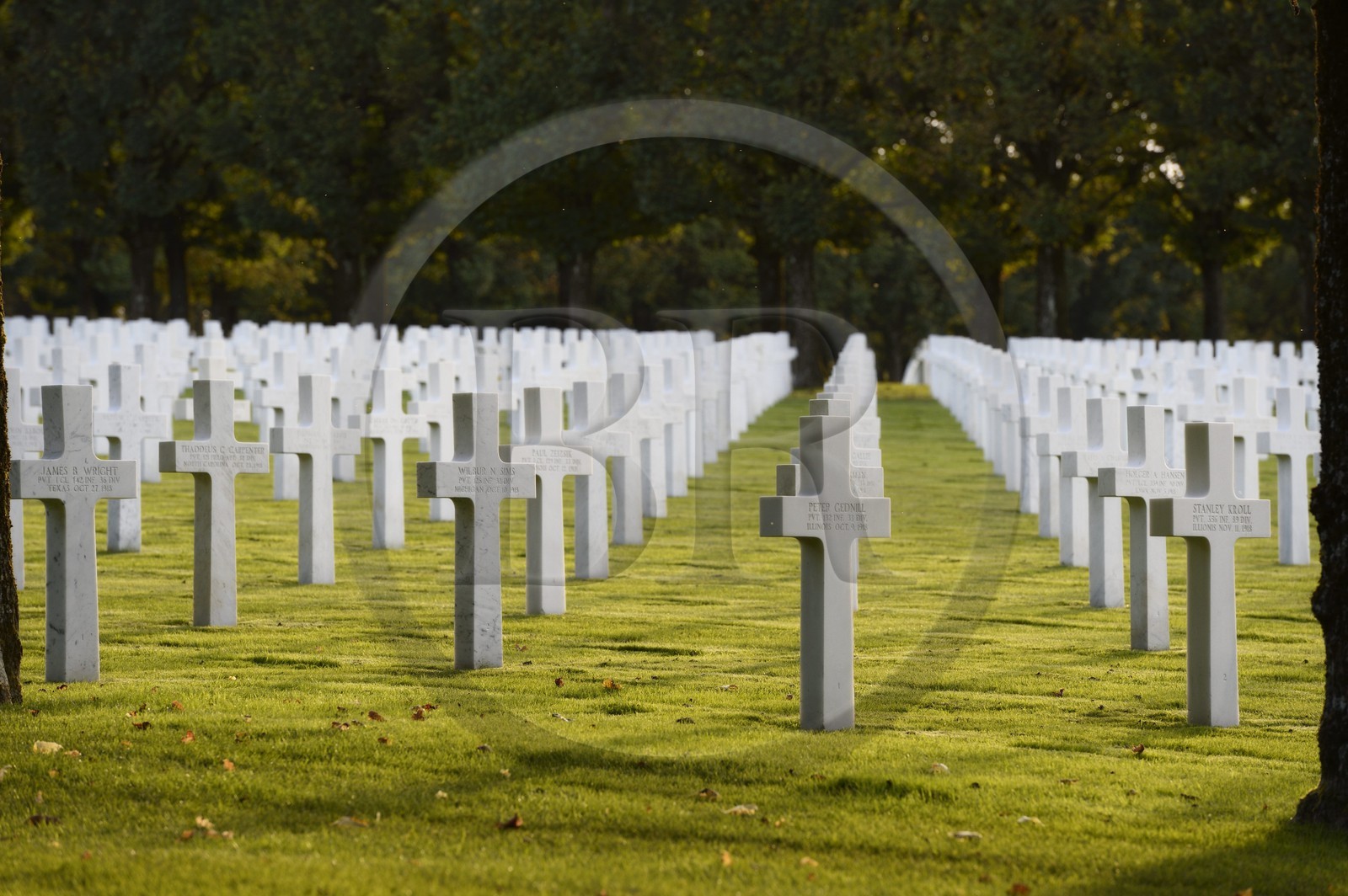France, Meuse (55), le cimetière américain de Romagne-sous-Montfaucon, 14 246 américains ayant combattu lors de la Première Guerre mondiale y sont enterrés