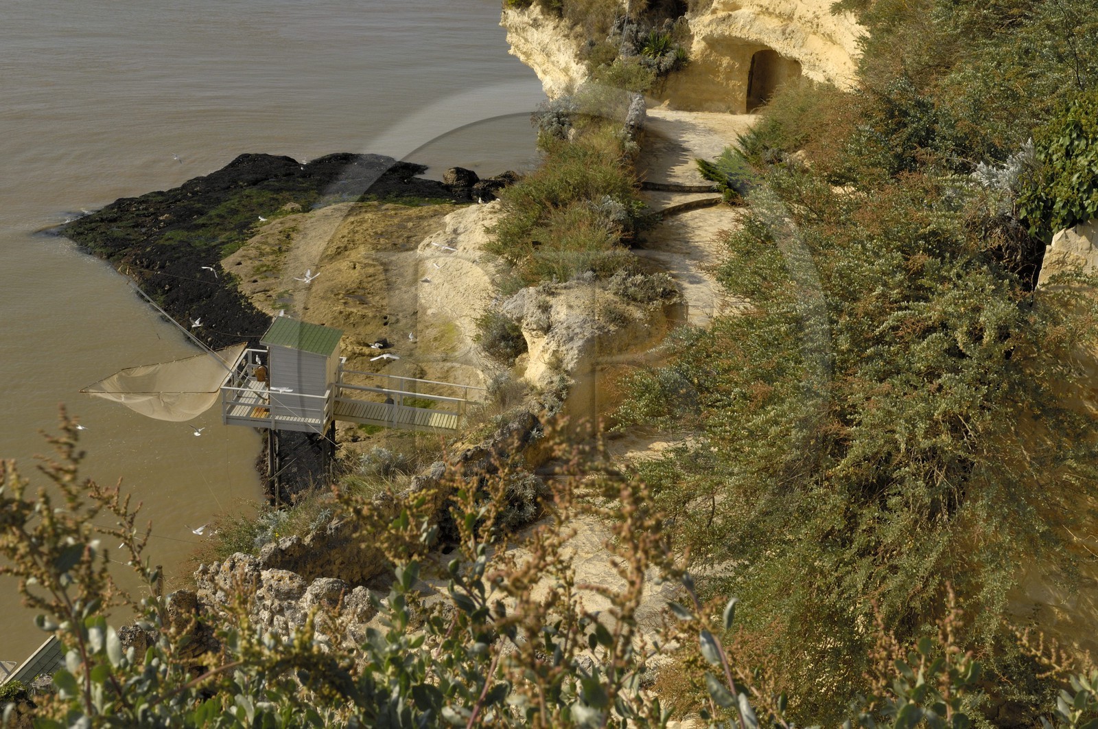 France, Charente-Maritime (17), Meschers-sur-Gironde, carrelets des grottes du Regulus