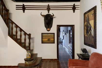 Spain, Andalusia, Seville Province, Utrera, the property El Toruno, breeding of fighting bulls