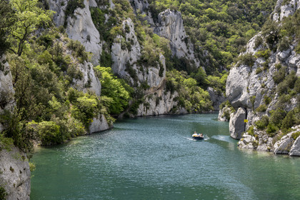 France, Alpes-de-Haute-Provence (04), Parc Naturel Régional du Verdon, Quinson, découverte en bateau électrique des Basses Gorges du Verdon en aval du lac de Sainte Croix