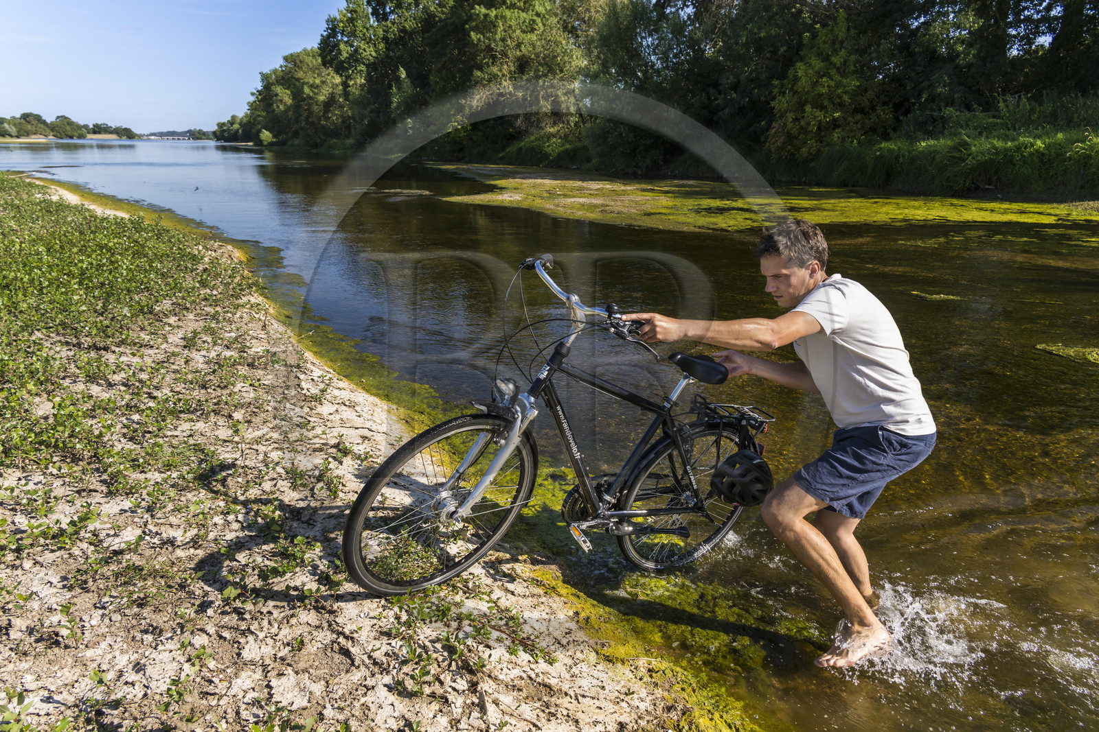 France, Maine-et-Loire (49), vallée de la Loire classée au Patrimoine Mondial par l'UNESCO, Saumur vers Saint-Hilaire, bancs de sable formant des îles sur la Loire, randonnée à bicyclette sur les berges de la Loire