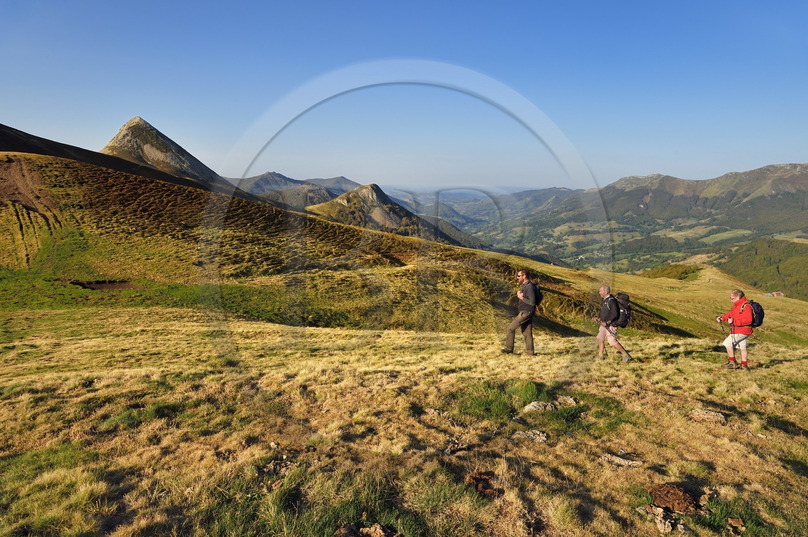 France, Cantal, Parc Naturel Régional des Volcans d'Auvergne (regional nature park of Auvergne volcanoes), Le Lioran, col de Rombiere (mountain pass) overlooking the Jordanne valley, hikers on the Way of St. James to Santiago de Compostela by Via Arverna, in the background the Puy Griou emerging on the left and the Griounou on its right