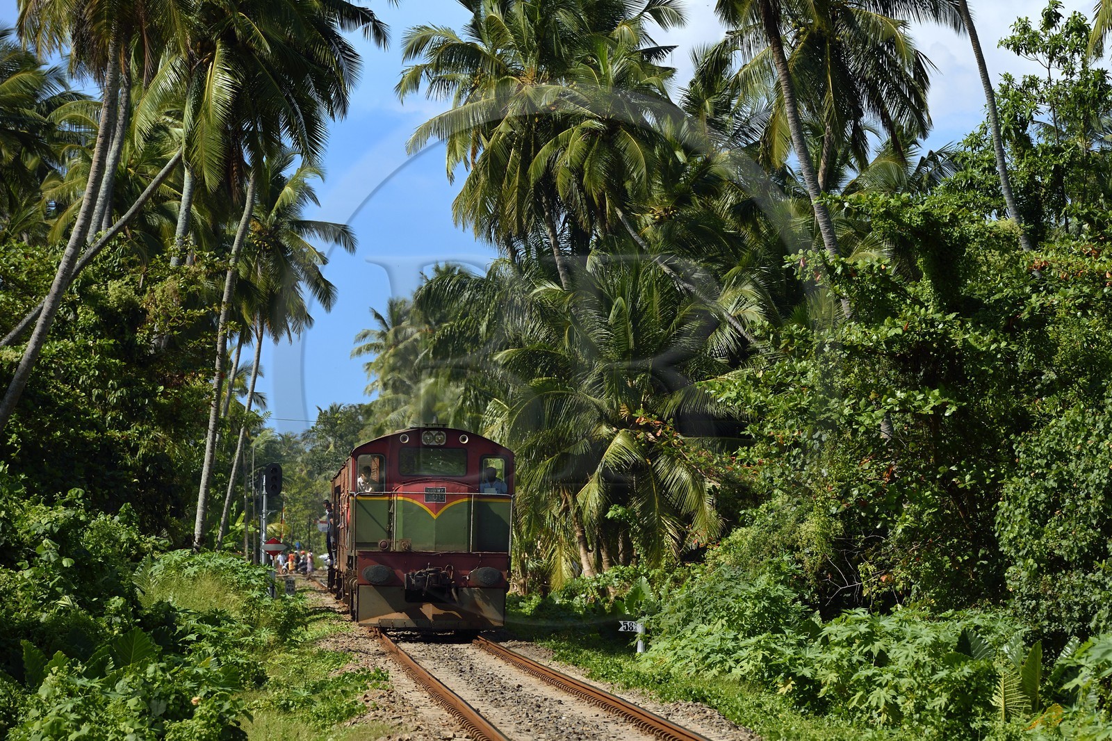 Sri Lanka, Province du Sud, region de Galle, Telwatta, ici un train bondé fut emporté par le Tsunami du 26 décembre 2004 faisant de nombreuses victimes