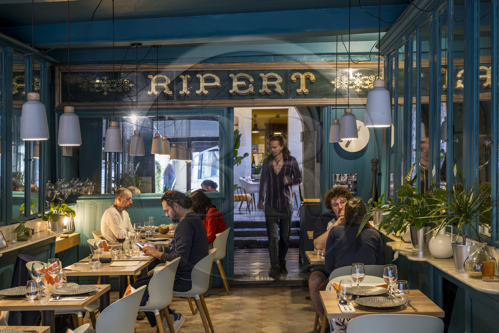 France, Vaucluse, Avignon, former restaurant Ripert became V&G, Veggie and Gastro