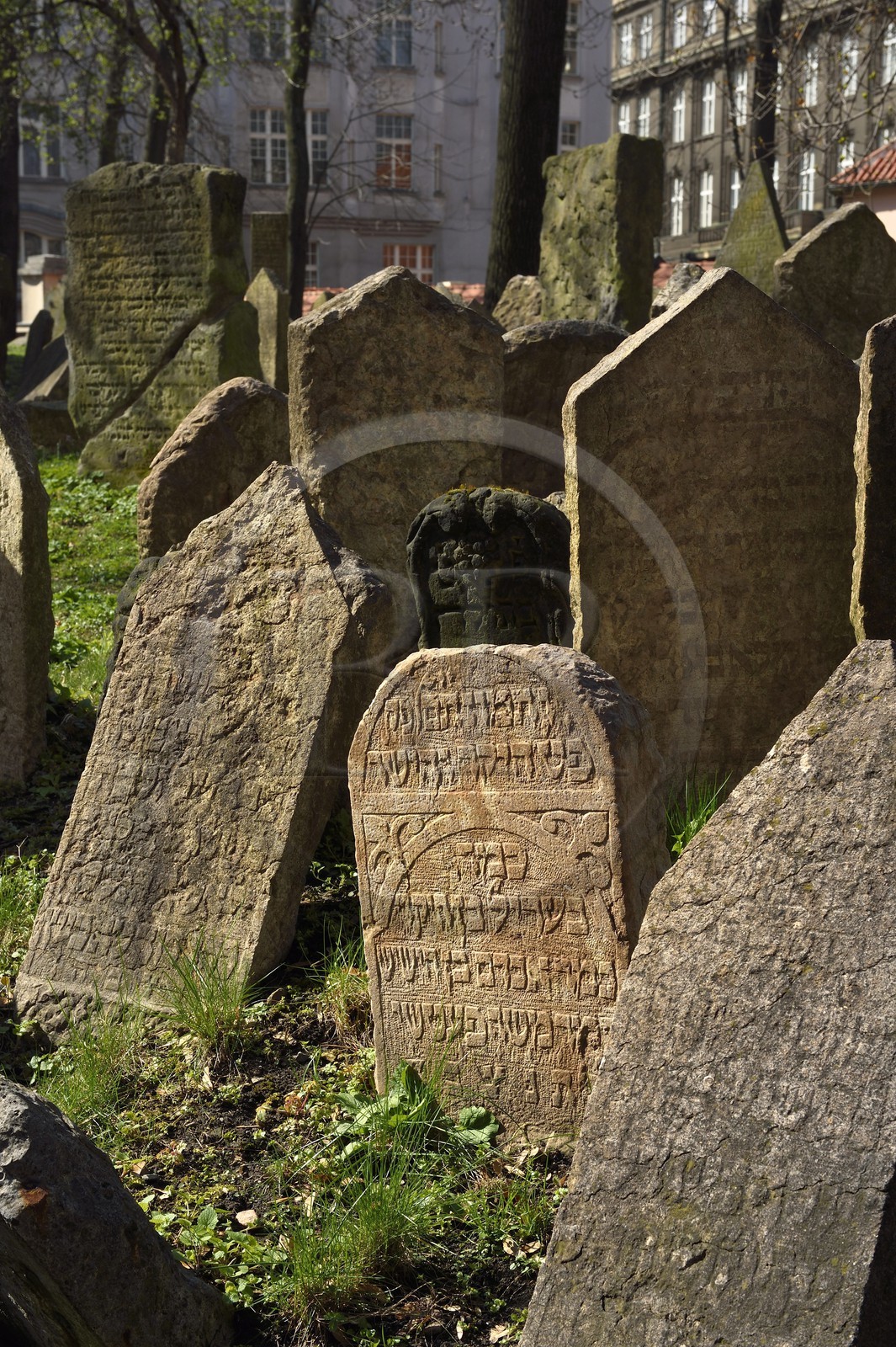 Czech Republic, Prague, historical centre listed as World Heritage by UNESCO, Jewish District of Josefov, Jewish cemetery