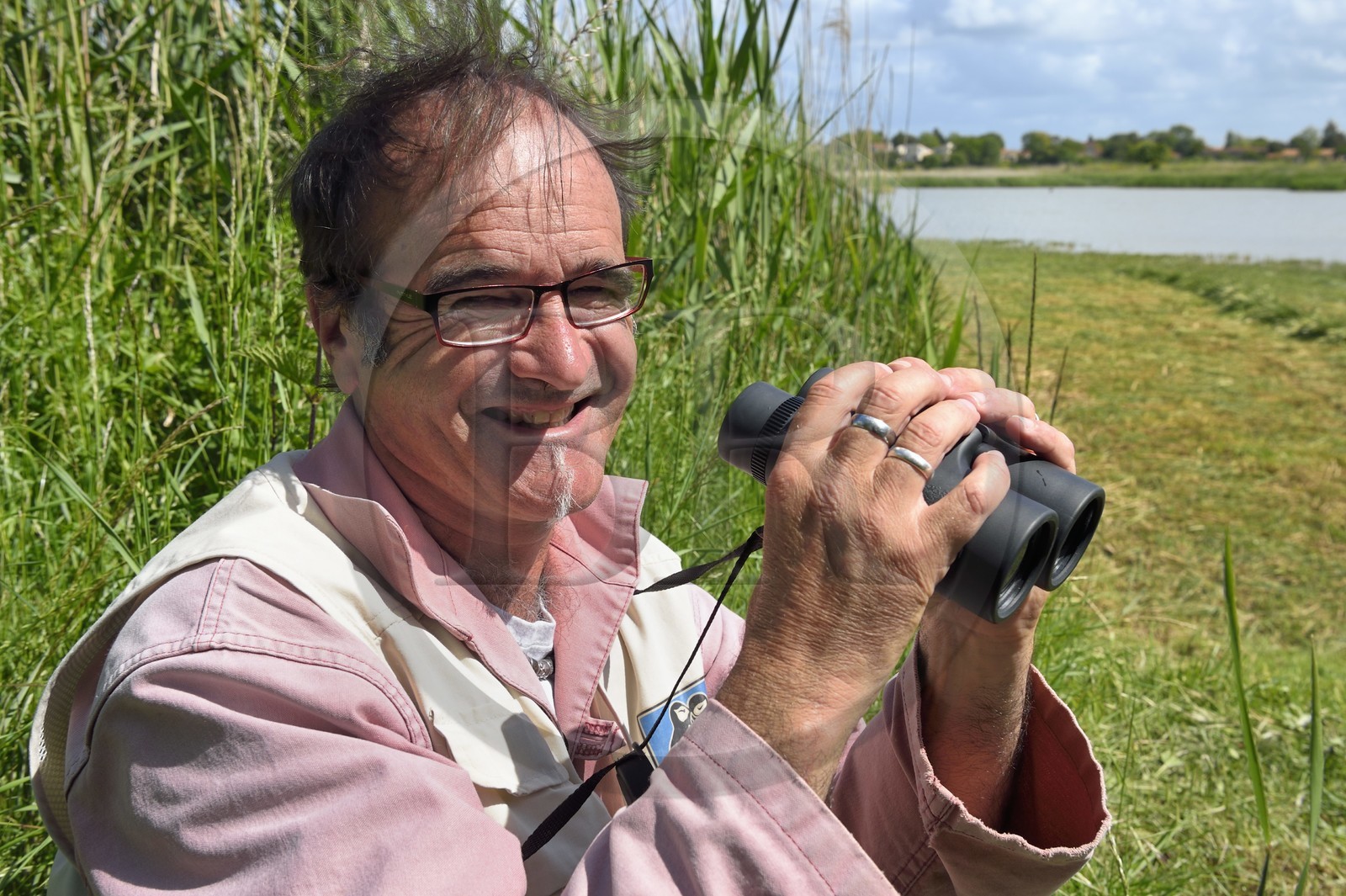 France, Charente-Maritime, Rochefort, bird watching at the Lagunage Station with Christophe Boucher, LPO guide