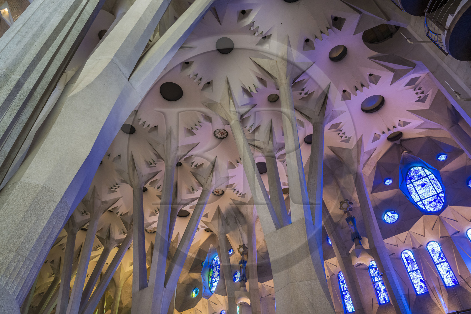 Espagne, Catalogne, Barcelone, quartier de l'Eixample, basilique de la Sagrada Familia de l'architecte du modernisme catalan Antoni Gaudi classée Patrimoine Mondial de l'UNESCO, au dessus du noeud, les colonnes du vaisseau central (nef) se subdivisent en branches tel un arbre, les couleurs froides des vitraux du coté de la facade de la Nativité du peintre et verrier catalan Joan Vila-Grau en arrière plan