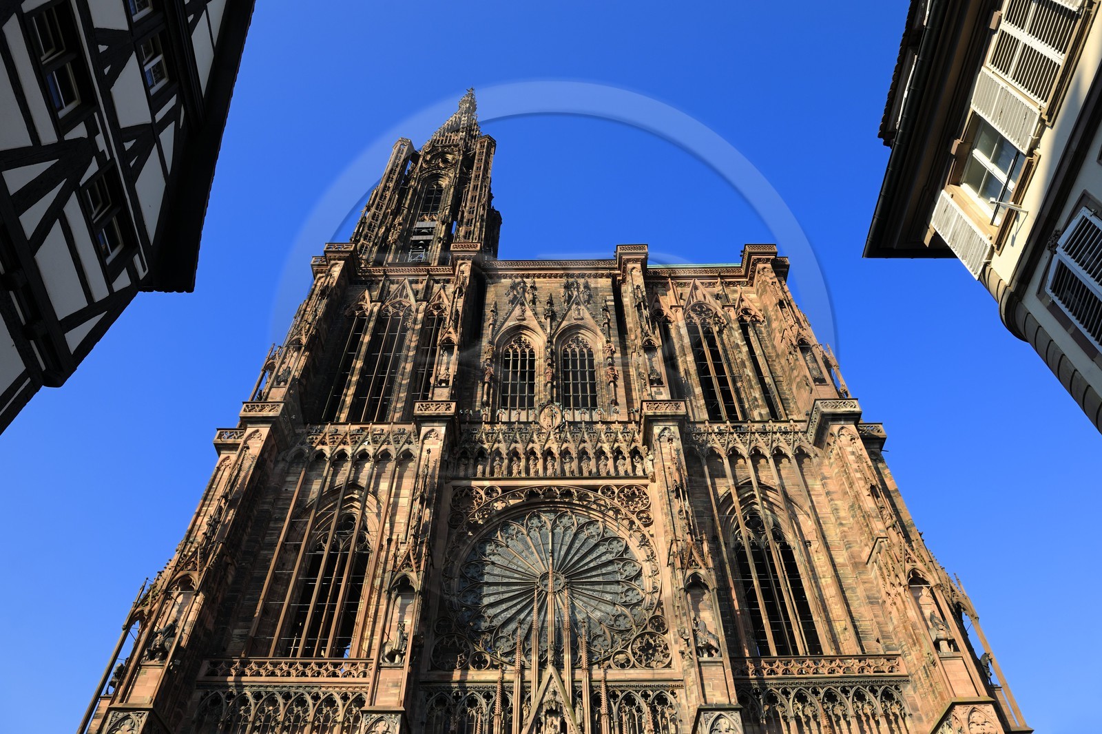 France, Bas-Rhin (67), Strasbourg, la cathédrale Notre-Dame, la façade occidentale