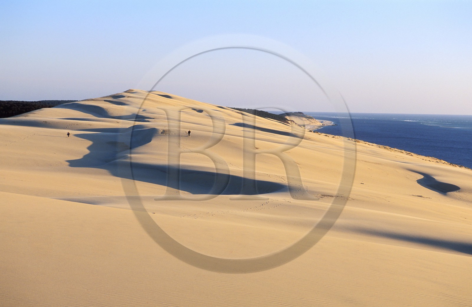 France, Gironde (33), Bassin d'Arcachon sommet de le dune du Pilat