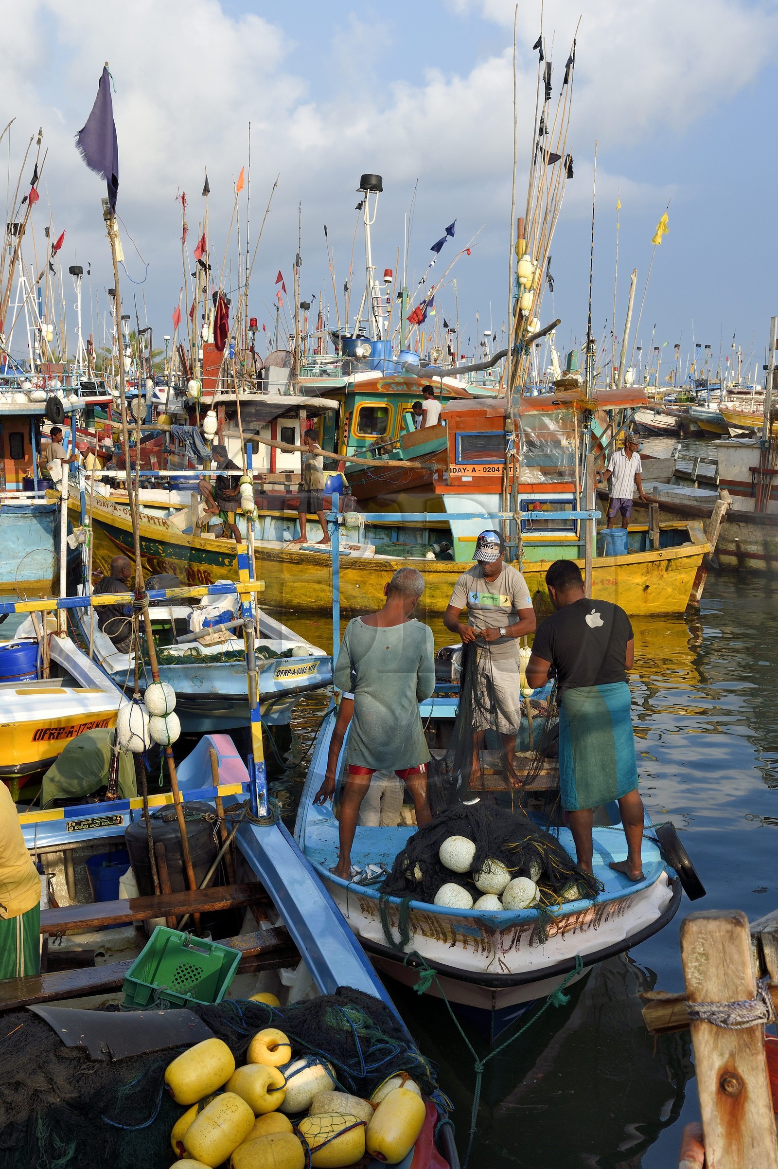 Sri Lanka, Province du Sud, Matara (district), Weligama, port de pêche de Mirissa