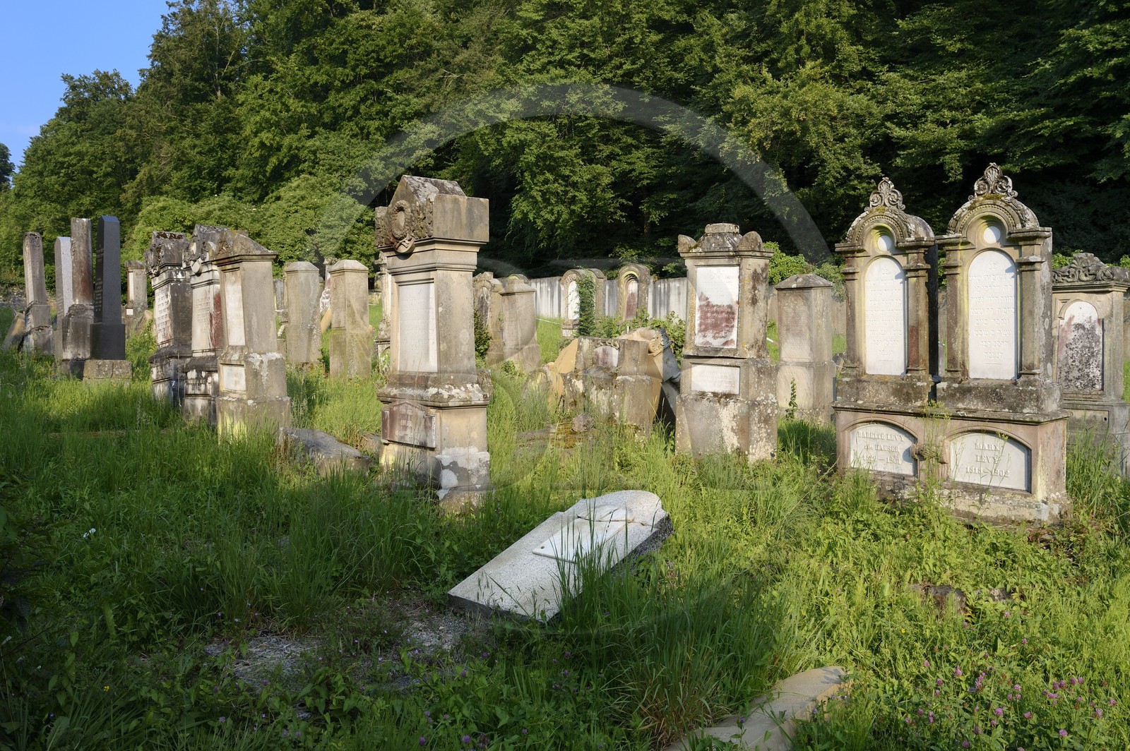 France, Haut Rhin, Sundgau, Durmenach, the Jewish cemetery dating back to 1794