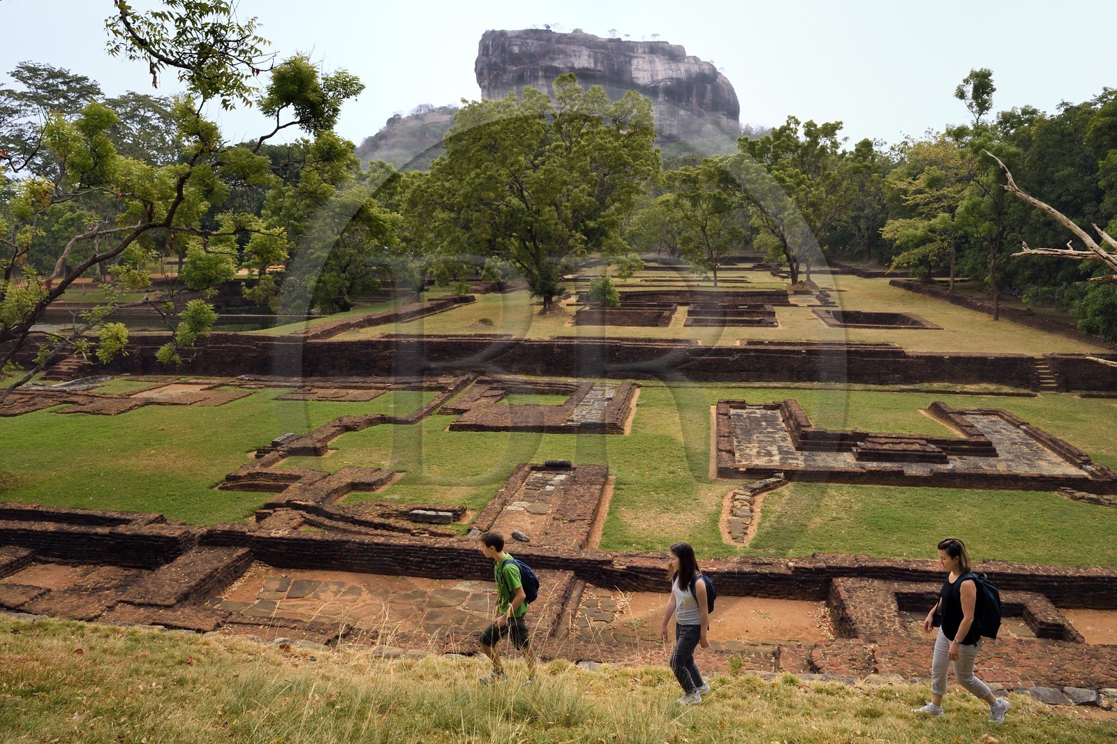 Sri Lanka, Central Province, Matale District, Sigiriya, Old city of Sigiriya listed as World Heritage by UNESCO, Rock of the Lion former Royal Palace