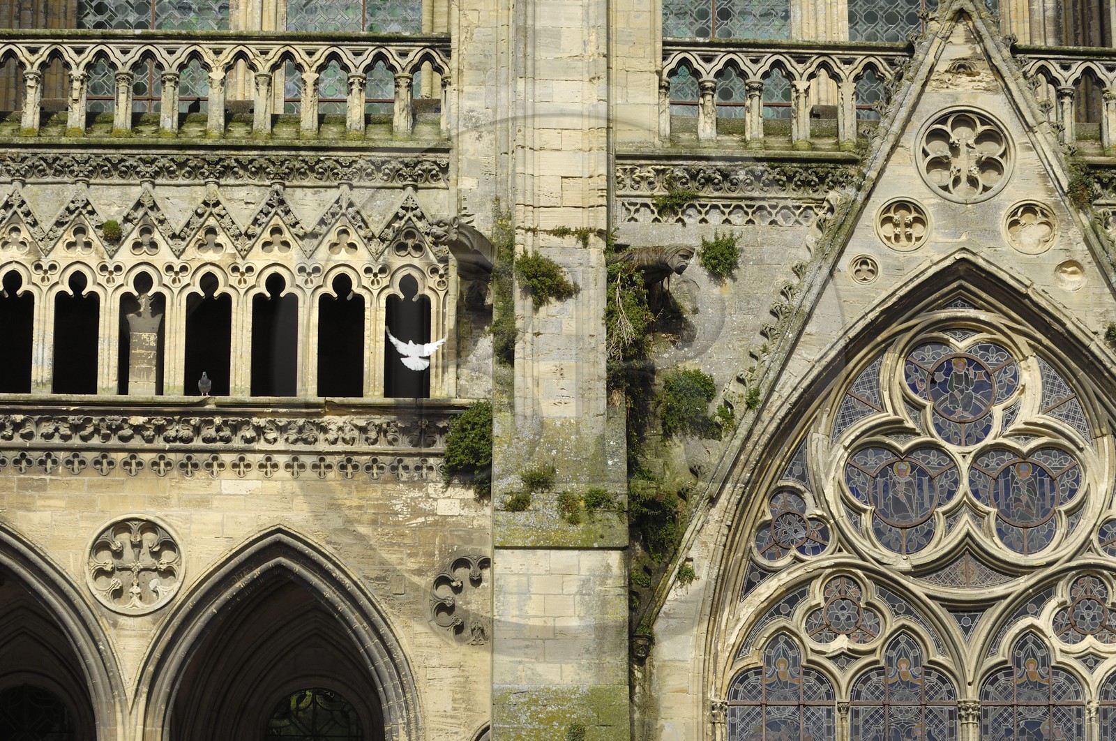 France, Calvados (14), Bayeux, la cathédrale Notre-Dame
