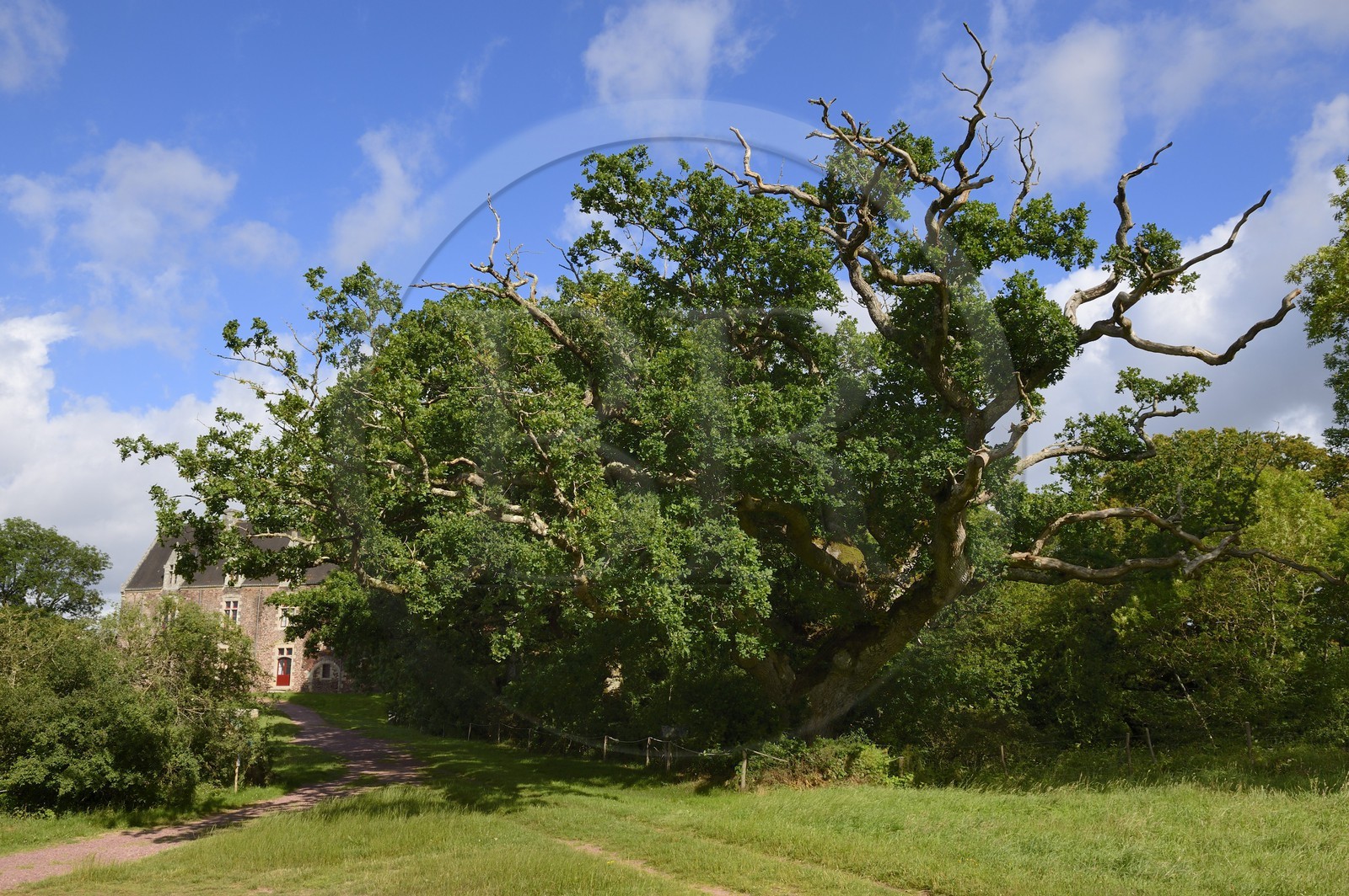 France, Morbihan (56), forêt de Brocéliande, Concoret, le château de Comper qui abrite les expositions du Centre de l'imaginaire arthurien