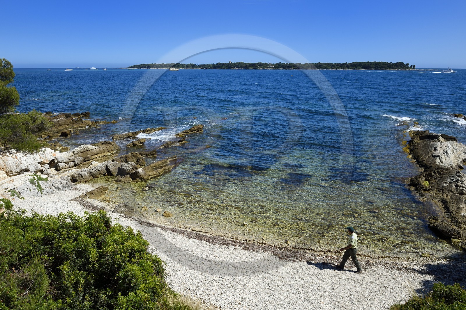 France, Alpes-Maritimes, Lerins Islands, Sainte-Marguerite island, Dragon point
