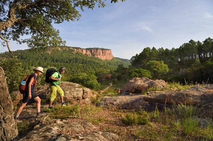 France, Var (83), entre Bagnols-en-Forêt et Roquebrune-sur-Argens, randonnée dans les Gorges du Blavet avec le guide accompagnateur Eric Gorlet