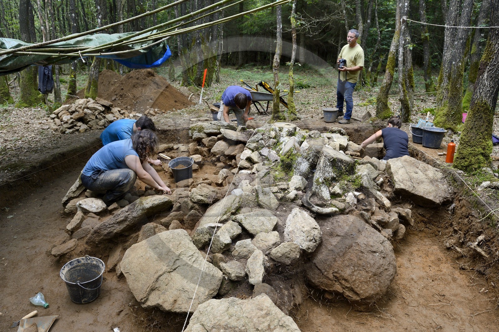 France, Morbihan, Tredion, Coeby forest, excavations at the megalithic site discovered by archaeologist Philippe Gouezin