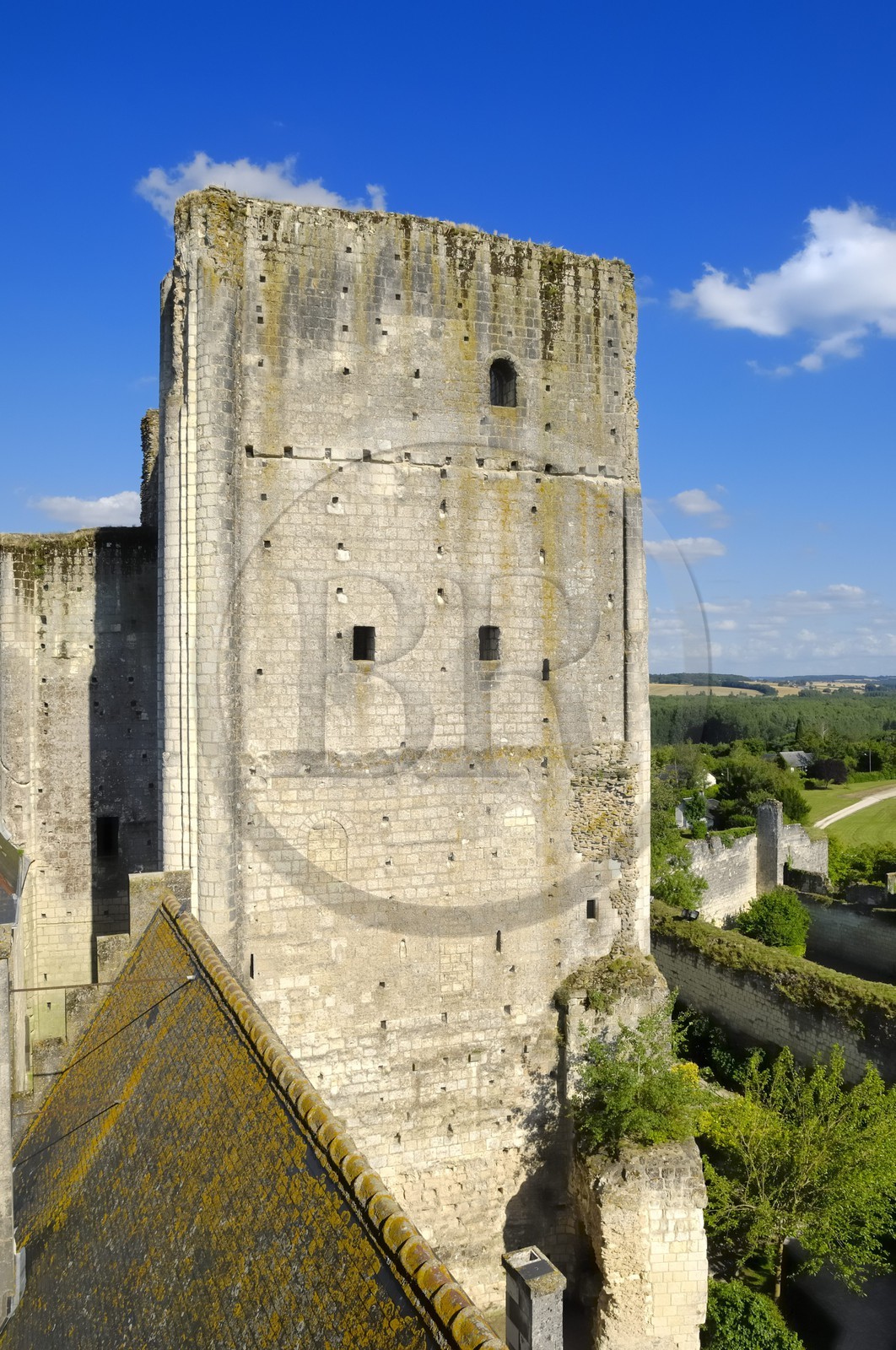 France, Indre et Loire, Loches, the donjon from the feudal fortress